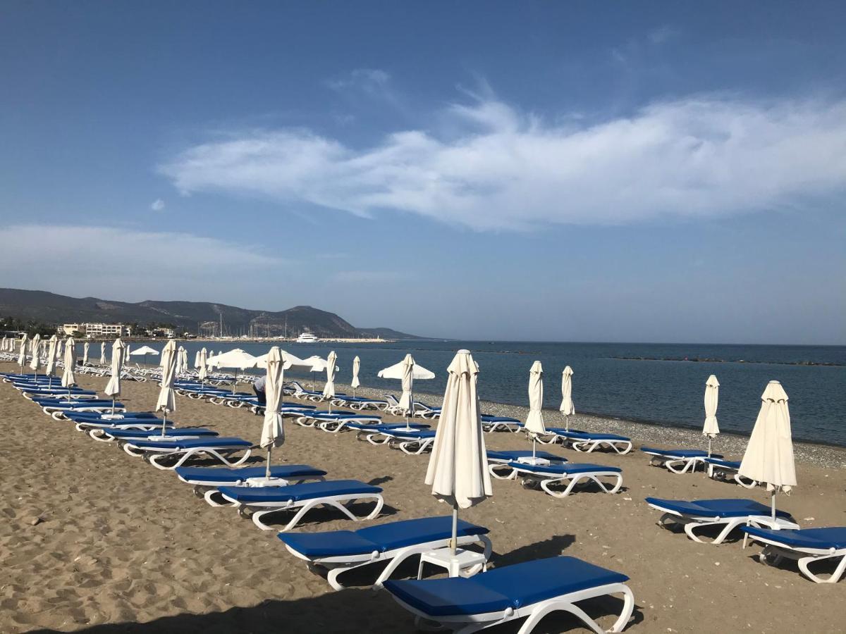 Andromeda Beach House Polis Dış mekan fotoğraf