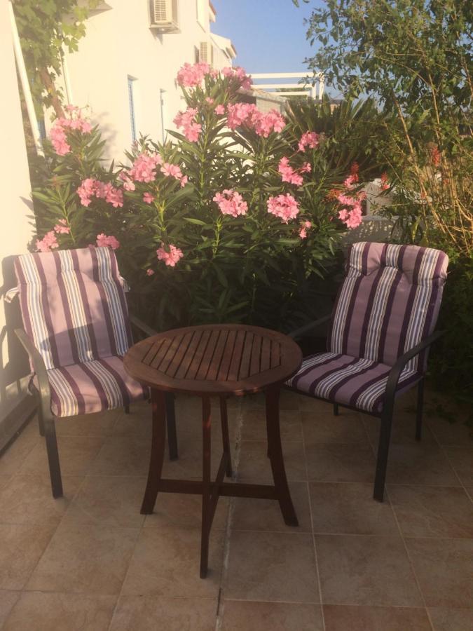 Andromeda Beach House Polis Dış mekan fotoğraf