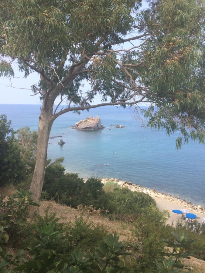 Andromeda Beach House Polis Dış mekan fotoğraf