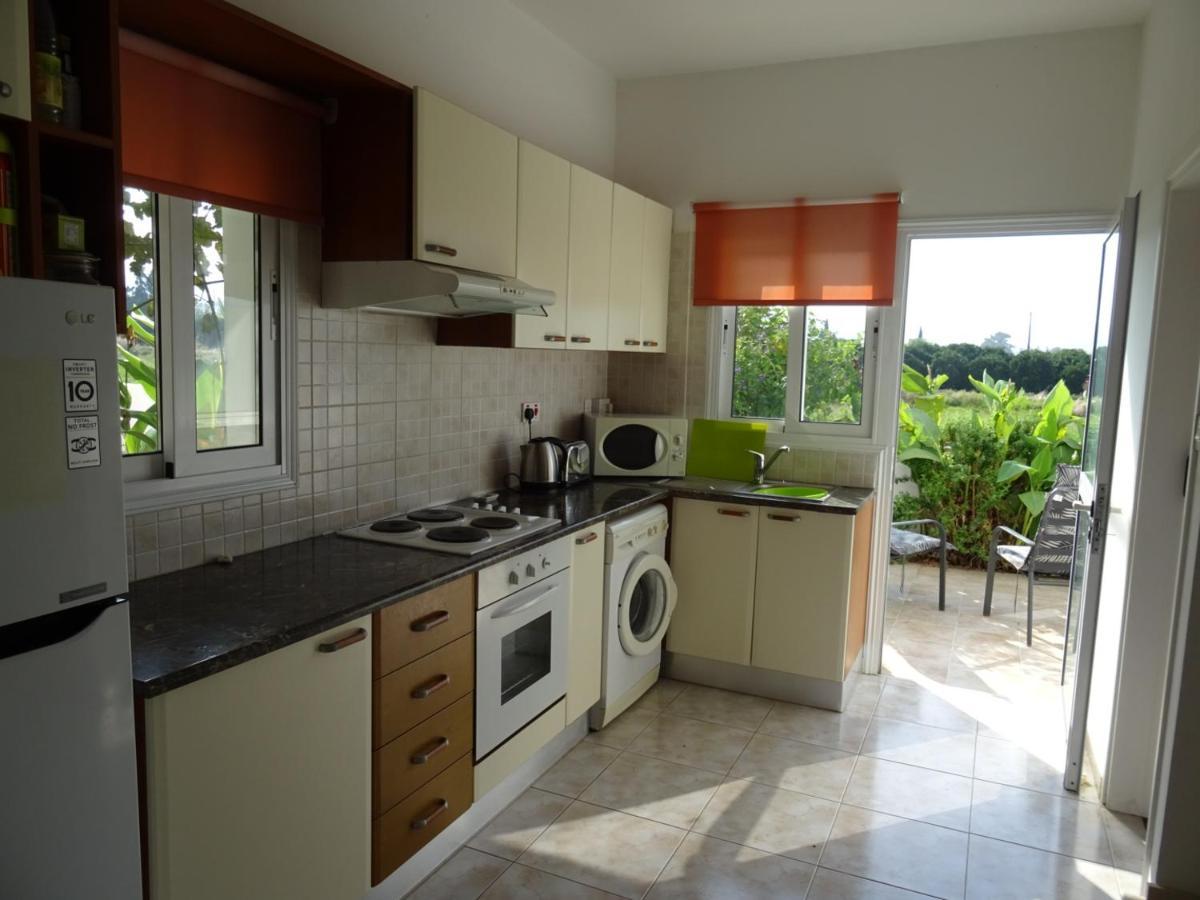 Andromeda Beach House Polis Dış mekan fotoğraf