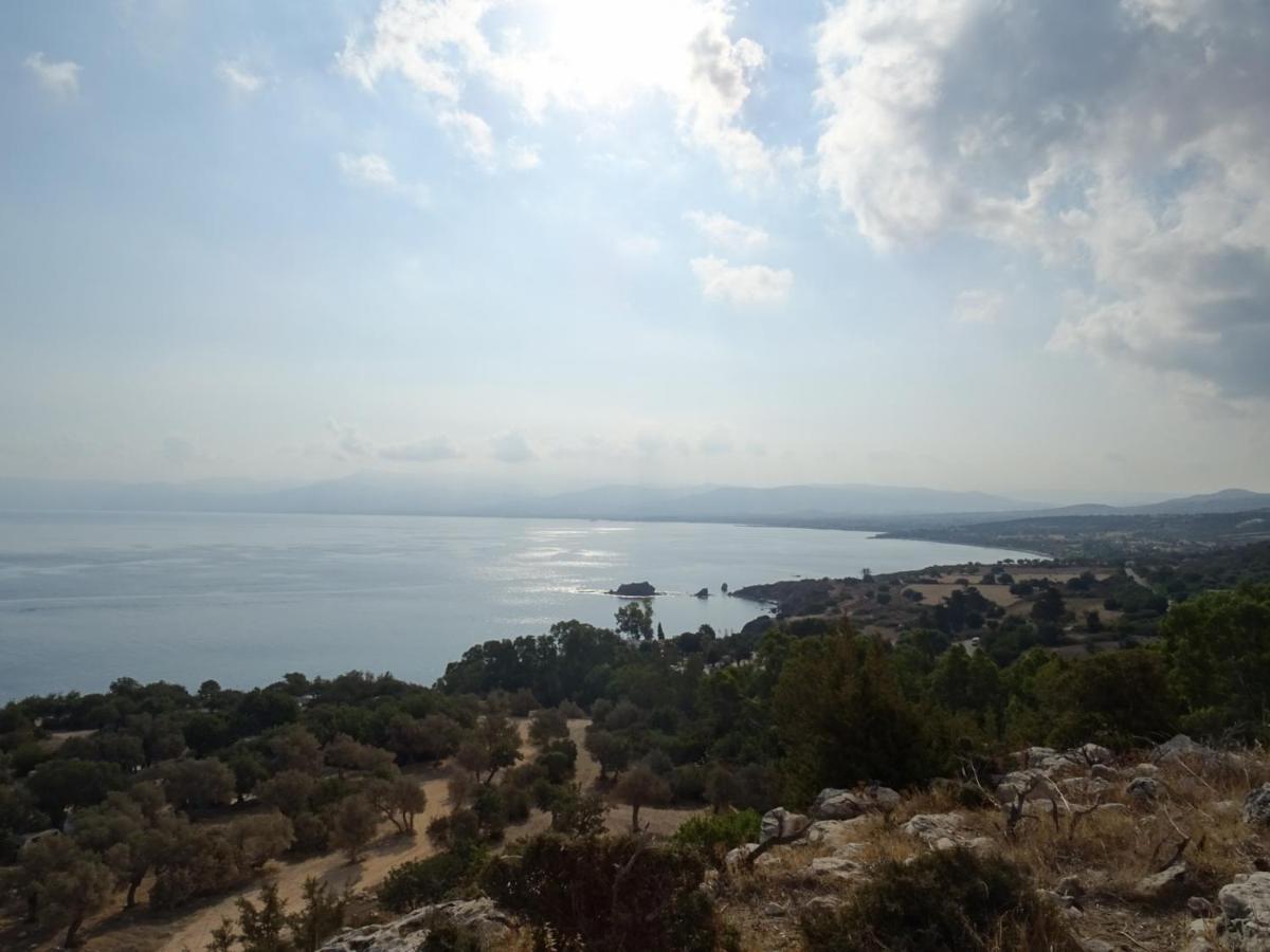 Andromeda Beach House Polis Dış mekan fotoğraf