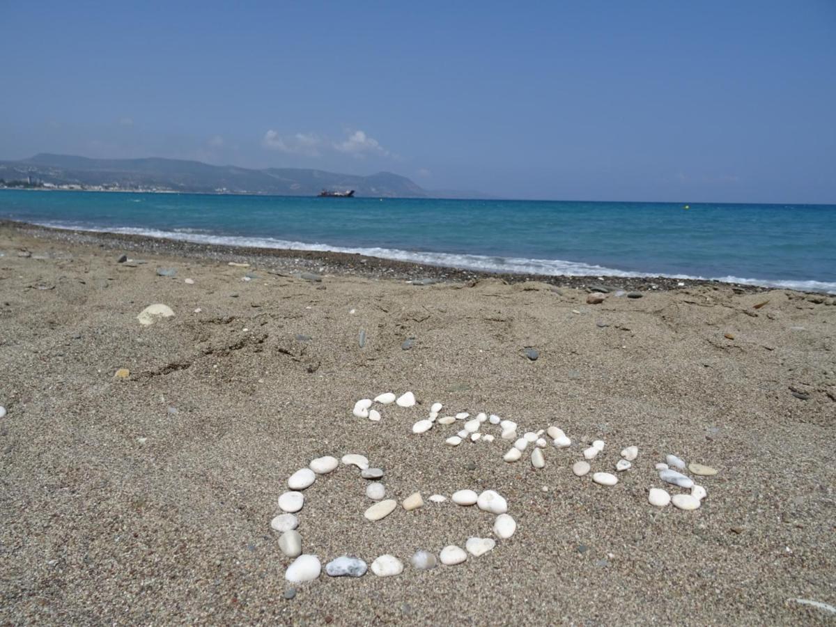 Andromeda Beach House Polis Dış mekan fotoğraf