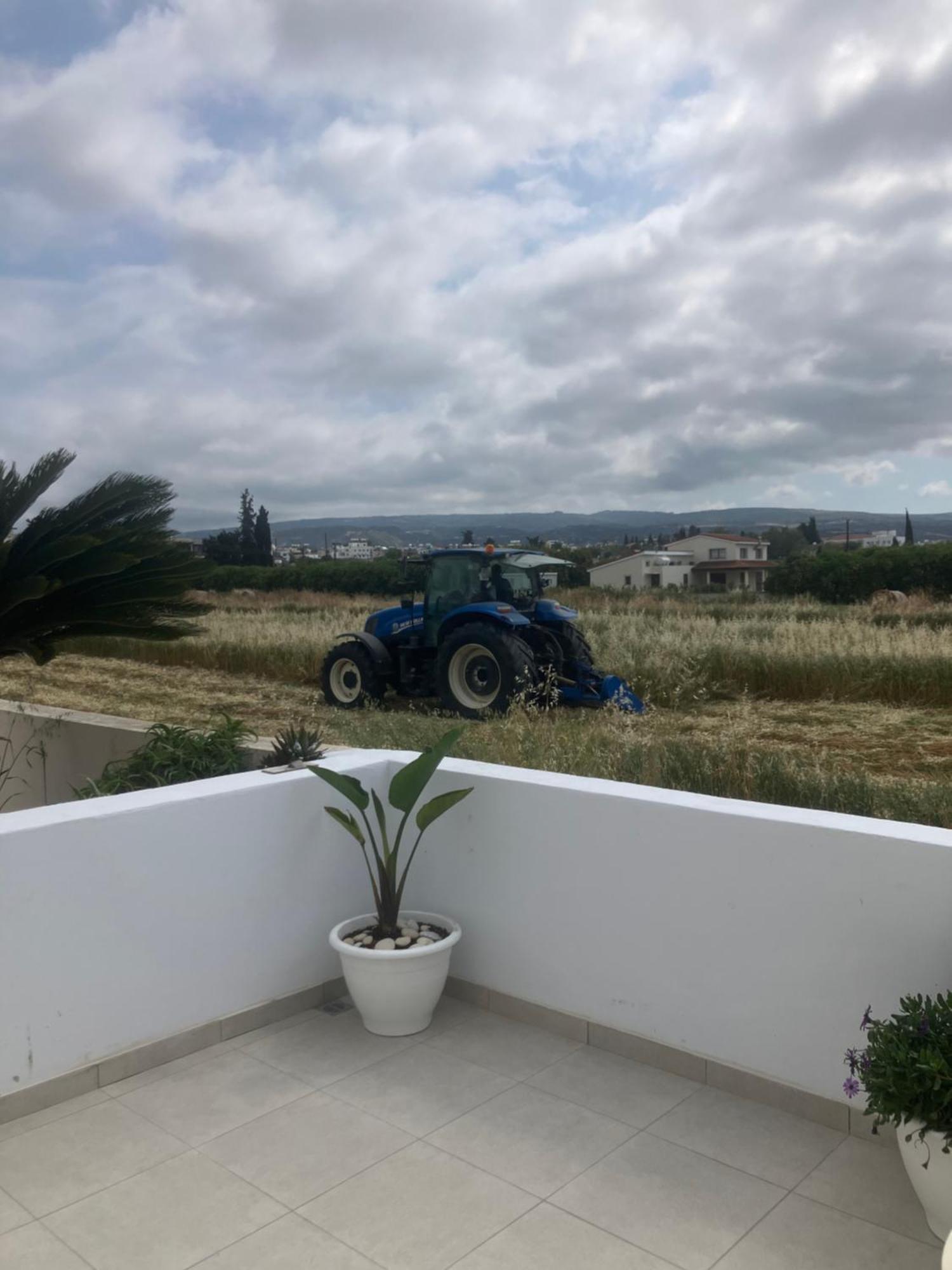 Andromeda Beach House Polis Dış mekan fotoğraf